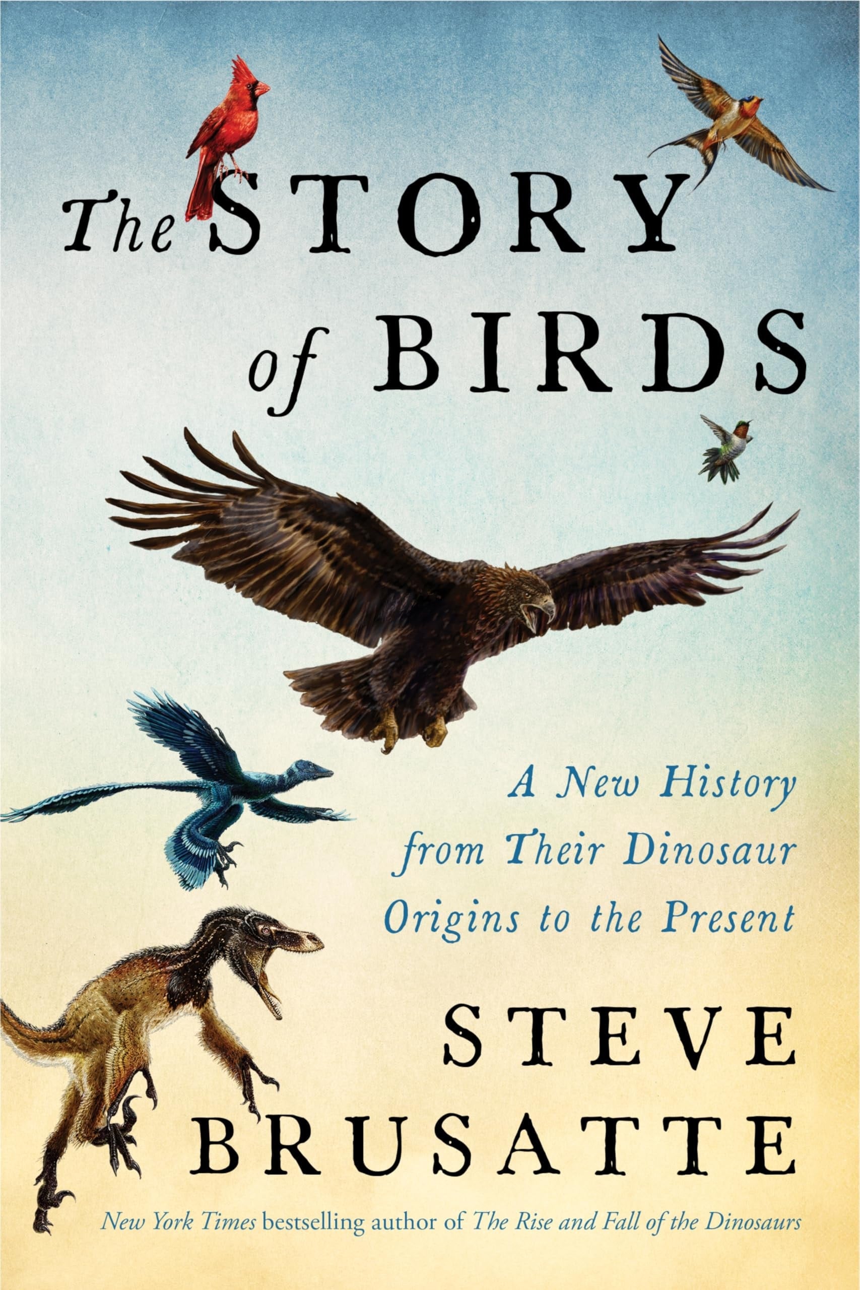 The Story of Birds