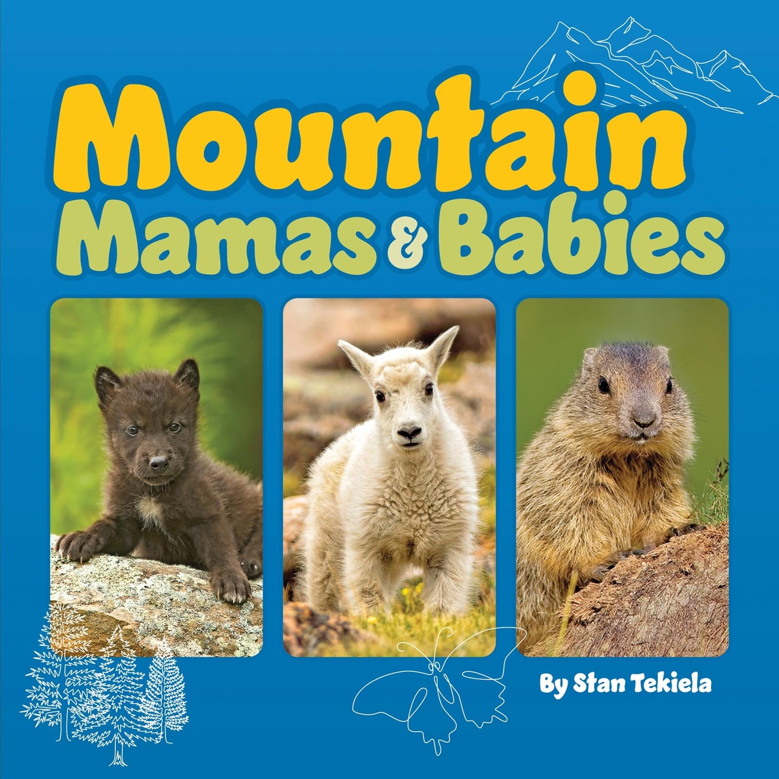 Mountain Mamas &amp; Babies