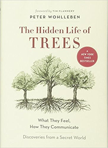 The Hidden Life of Trees What They Feel, how They Communicate : Discoveries from a Secret World