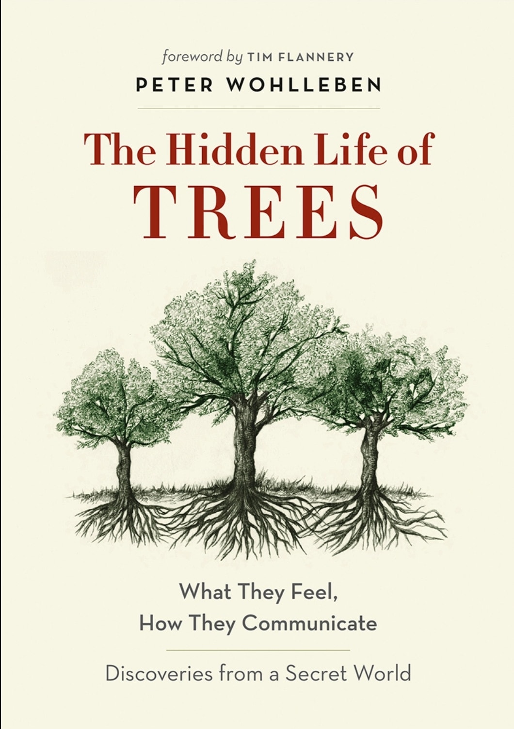 The Hidden Life of Trees