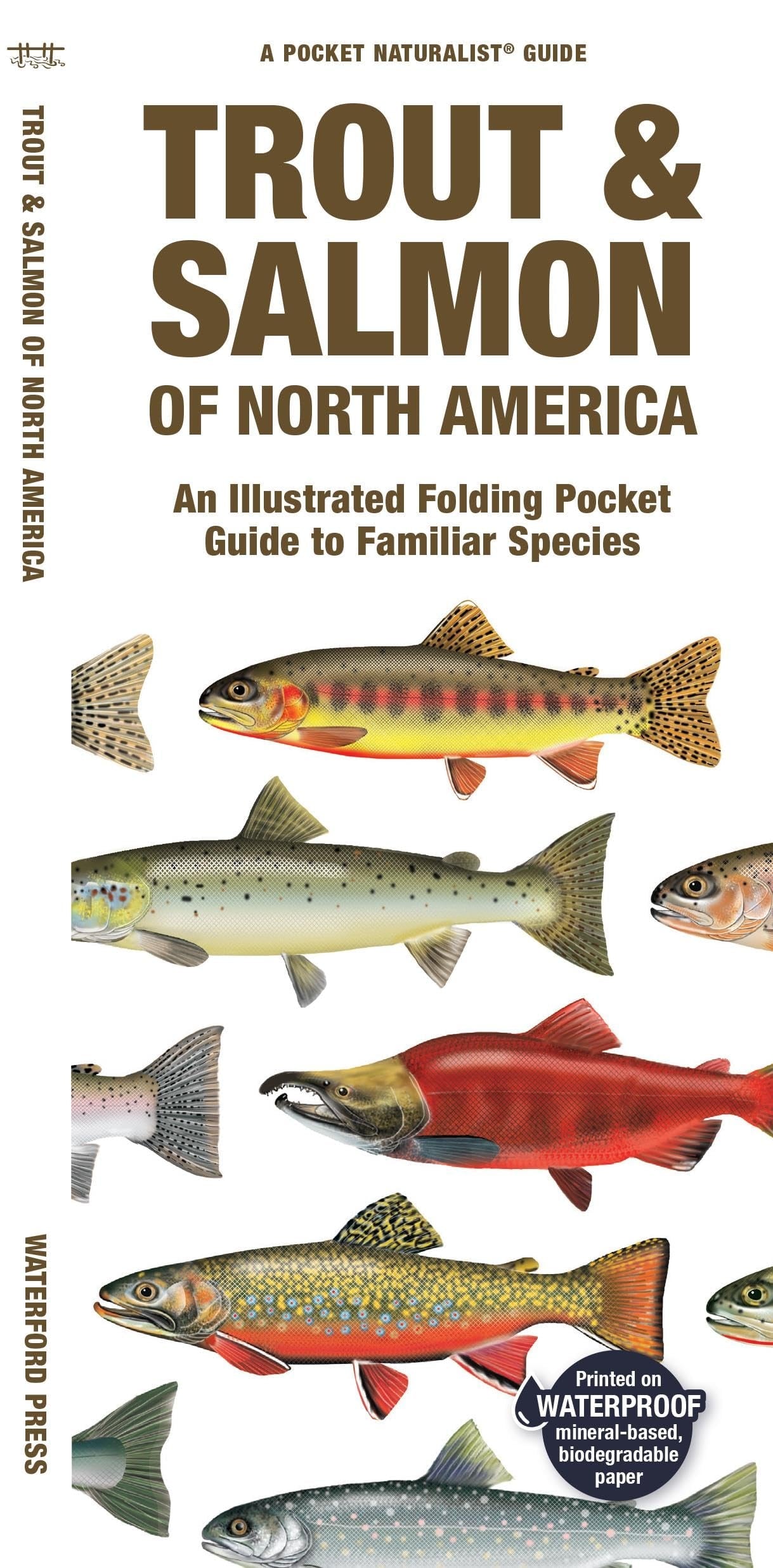 Trout &amp; Salmon of North America, 2nd Ed