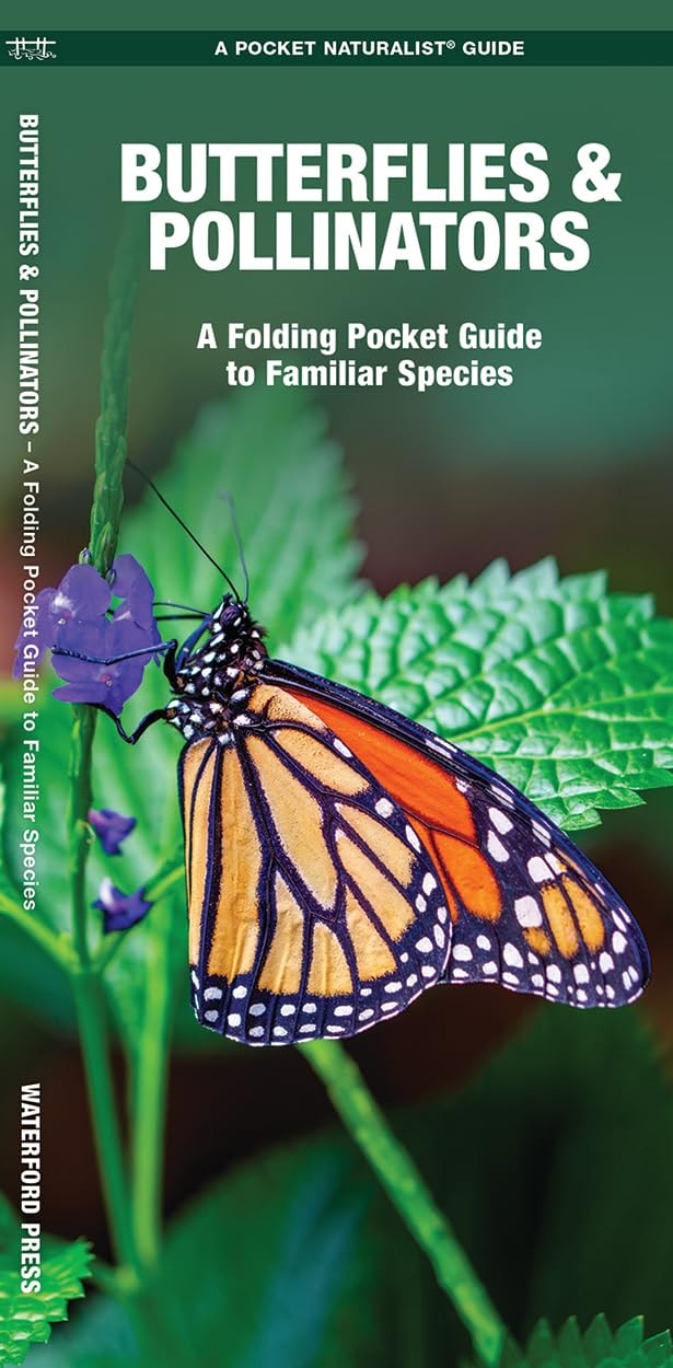 Butterflies &amp; Pollinators