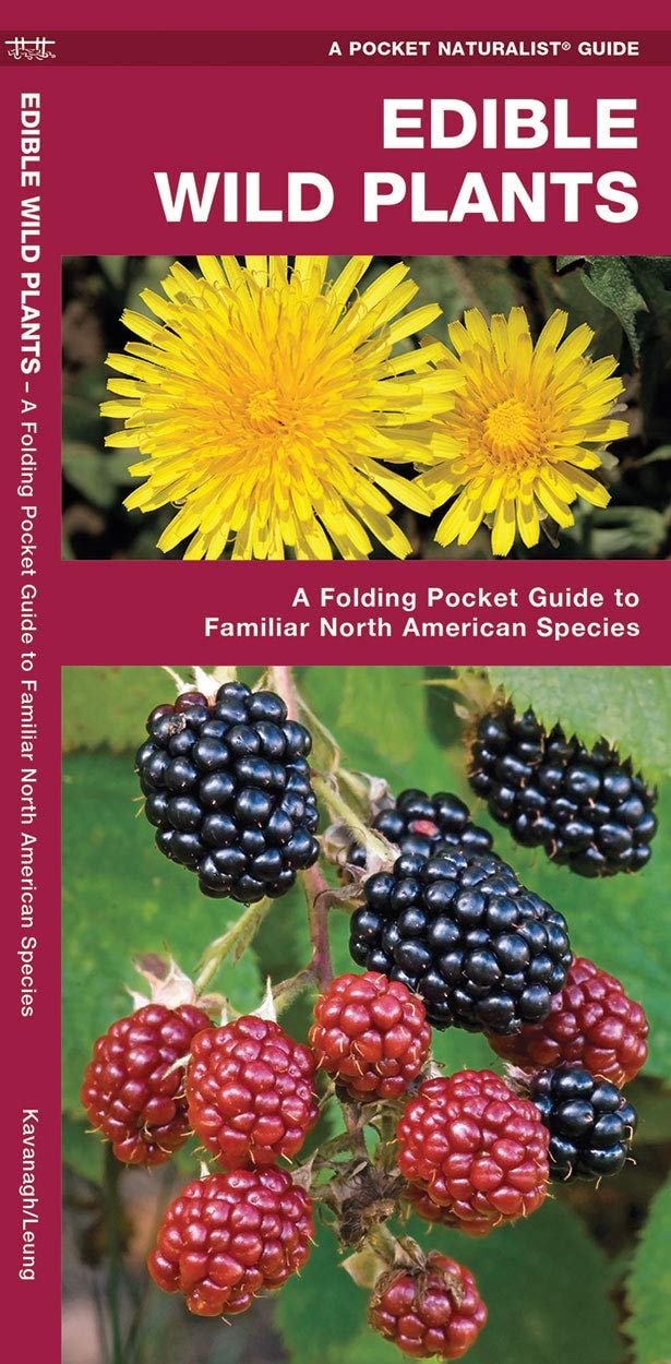 Edible Wild Plants