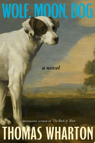 Wolf, Moon, Dog A novel
