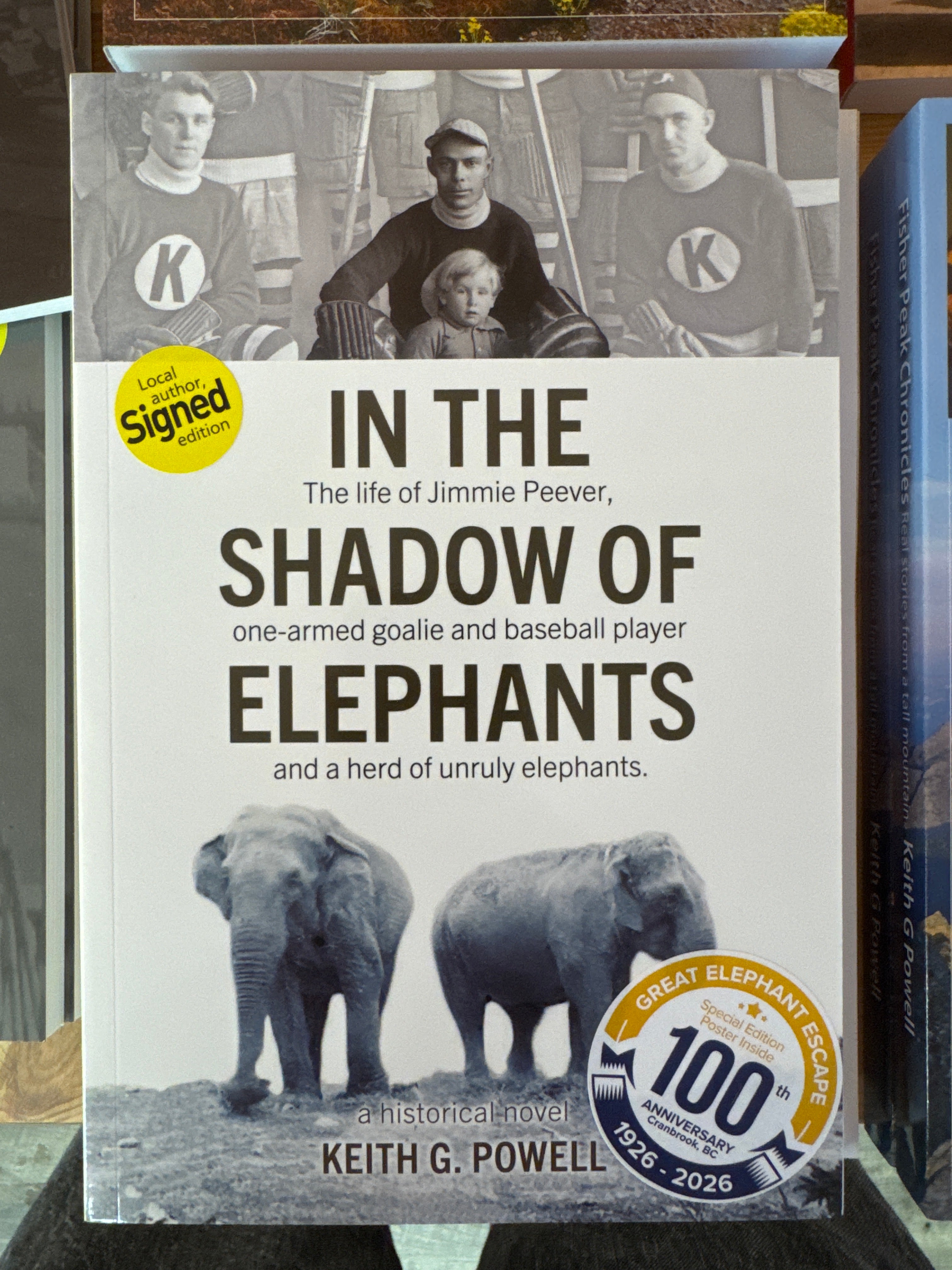 In The Shadow Of Elephants