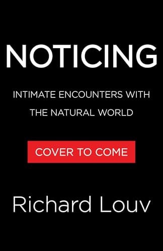 Noticing