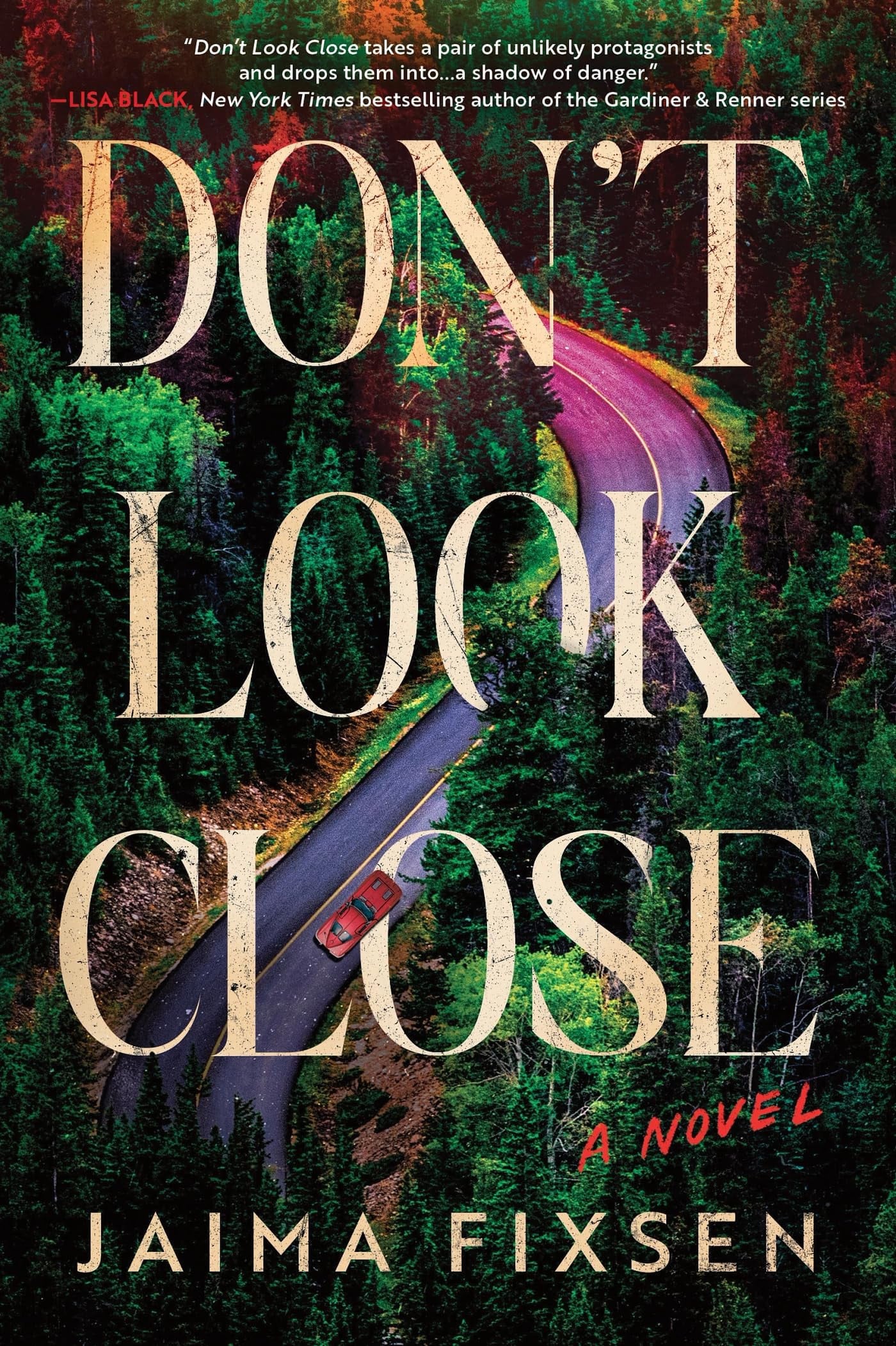 Don't Look Close - A Novel