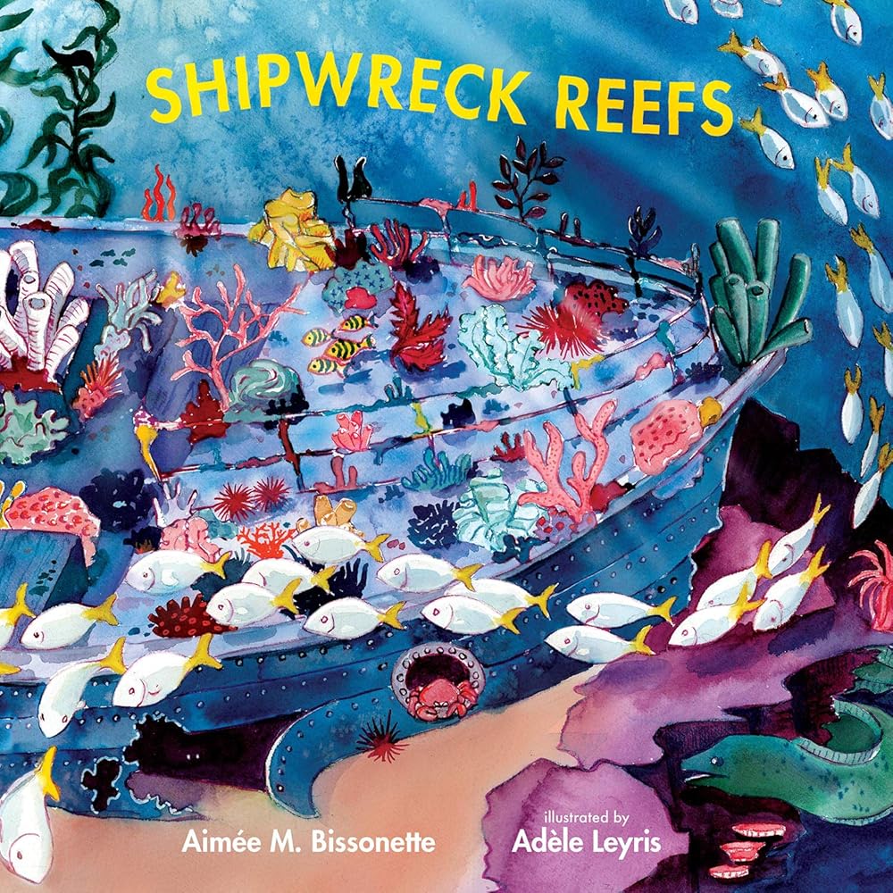Shipwreck Reefs (Imagine This!) cover image