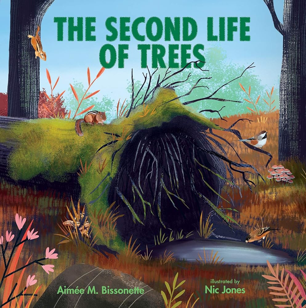 The Second Life of Trees (Imagine This!) cover image
