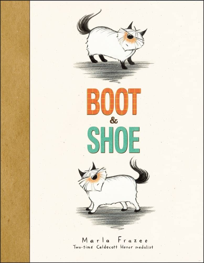 Boot & Shoe cover image