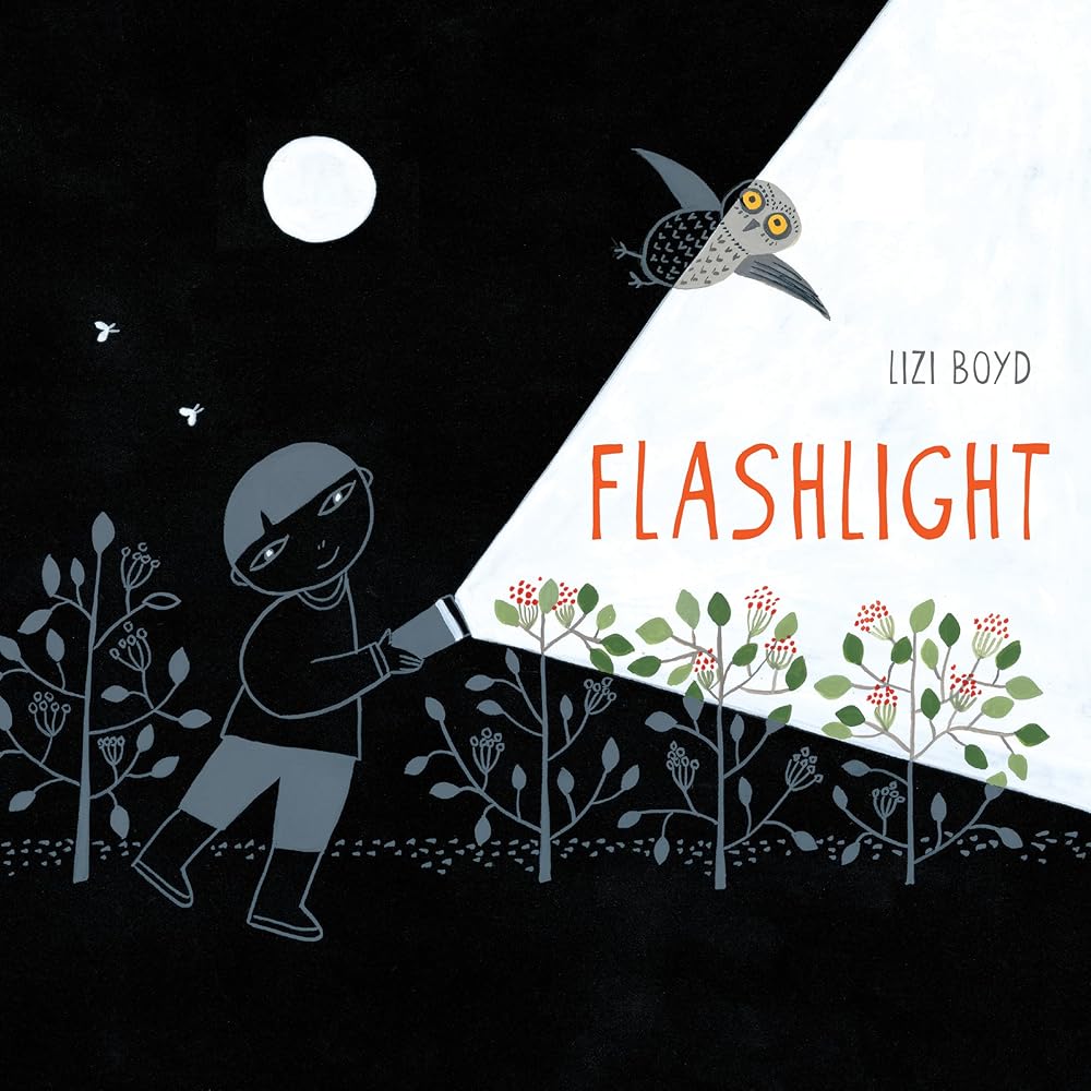 Flashlight: (Picture Books, Wordless Books for Kids, Camping Books for Kids, Bedtime Story Books, Children's Activity Books, Children's Nature Books) cover image