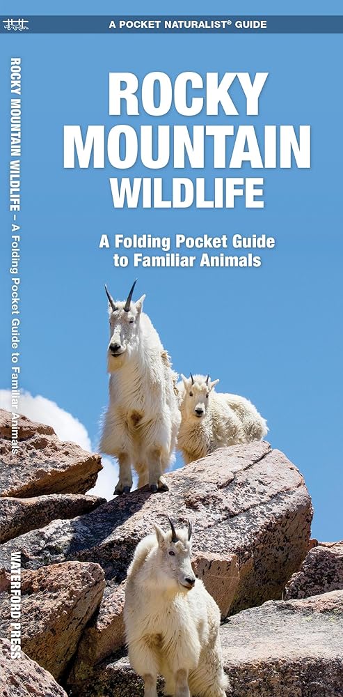 Rocky Mountain Wildlife: A Folding Pocket Guide to Familiar Species cover image