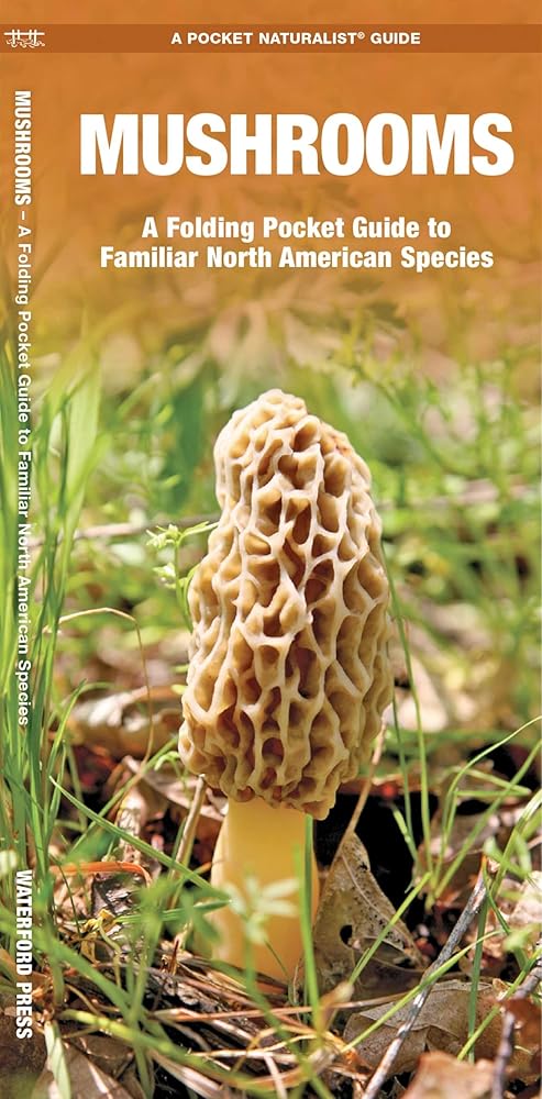 Mushrooms (Nature Observation North America) cover image