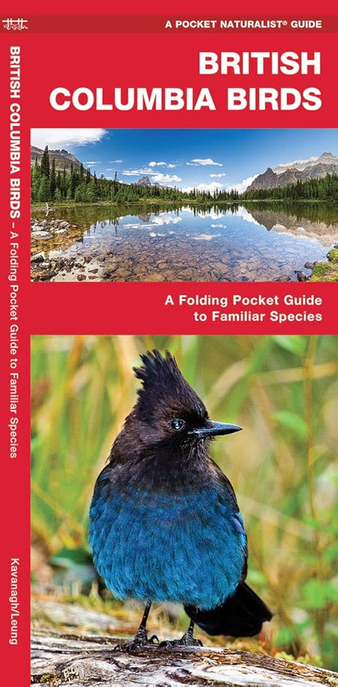 British Columbia Birds: A Folding Pocket Guide to Familiar Species cover image