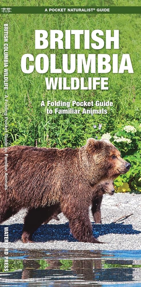 British Columbia Wildlife, 2nd Ed (Nature Observation North America) cover image