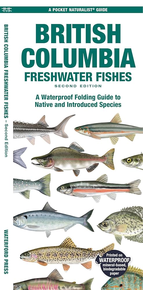 British Columbia Freshwater Fishes, 2nd Ed (Nature Observation North America) cover image