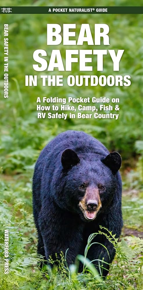 Bear Safety in the Outdoors (Outdoor Recreation and Survival) cover image