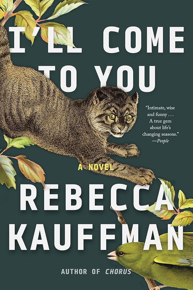 I'll Come to You: A Novel cover image