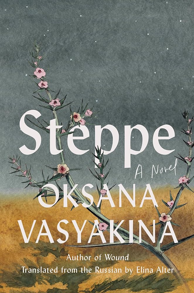 Steppe: A Novel cover image