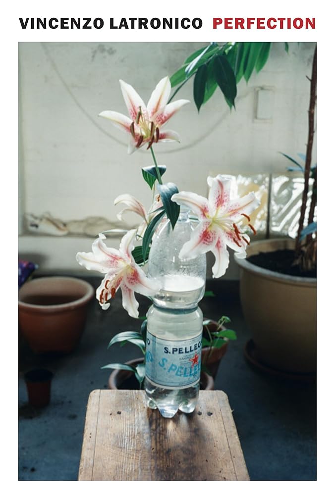 Perfection cover image