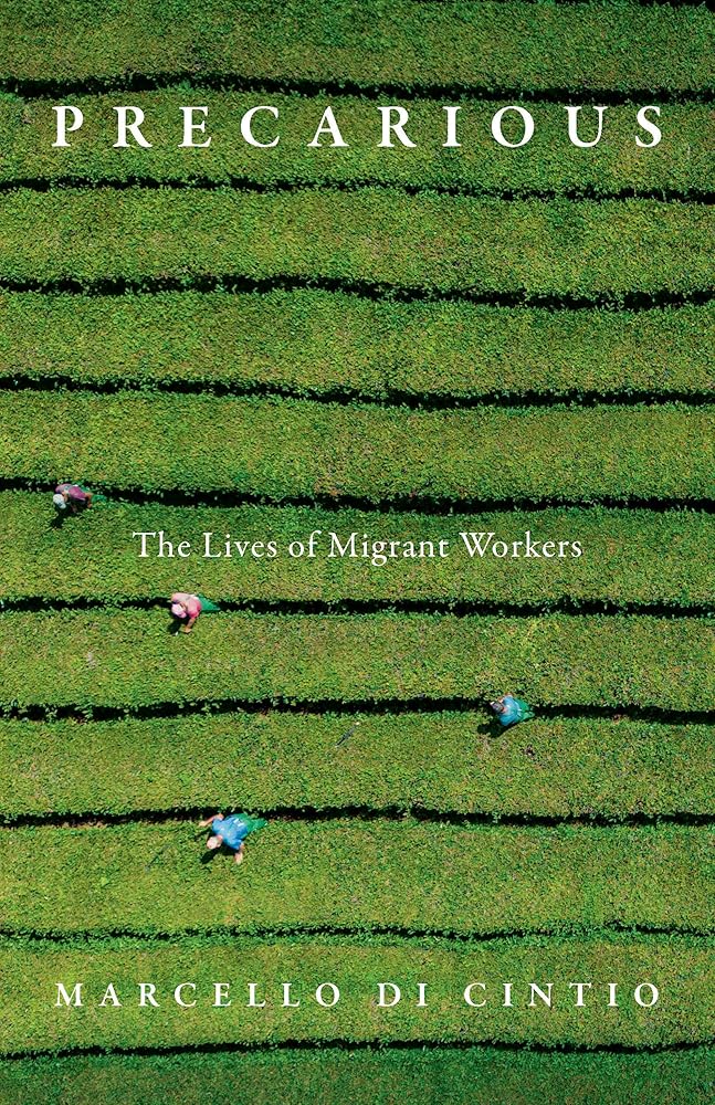 Precarious: The Lives of Migrant Workers cover image