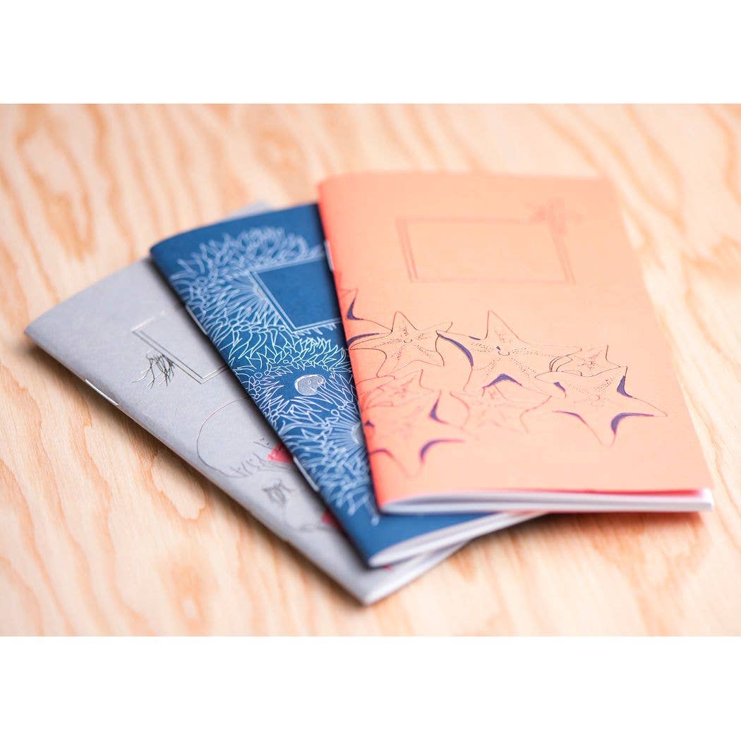 Set of 3 Pocket Letterpress Notebooks - Aquatic Series